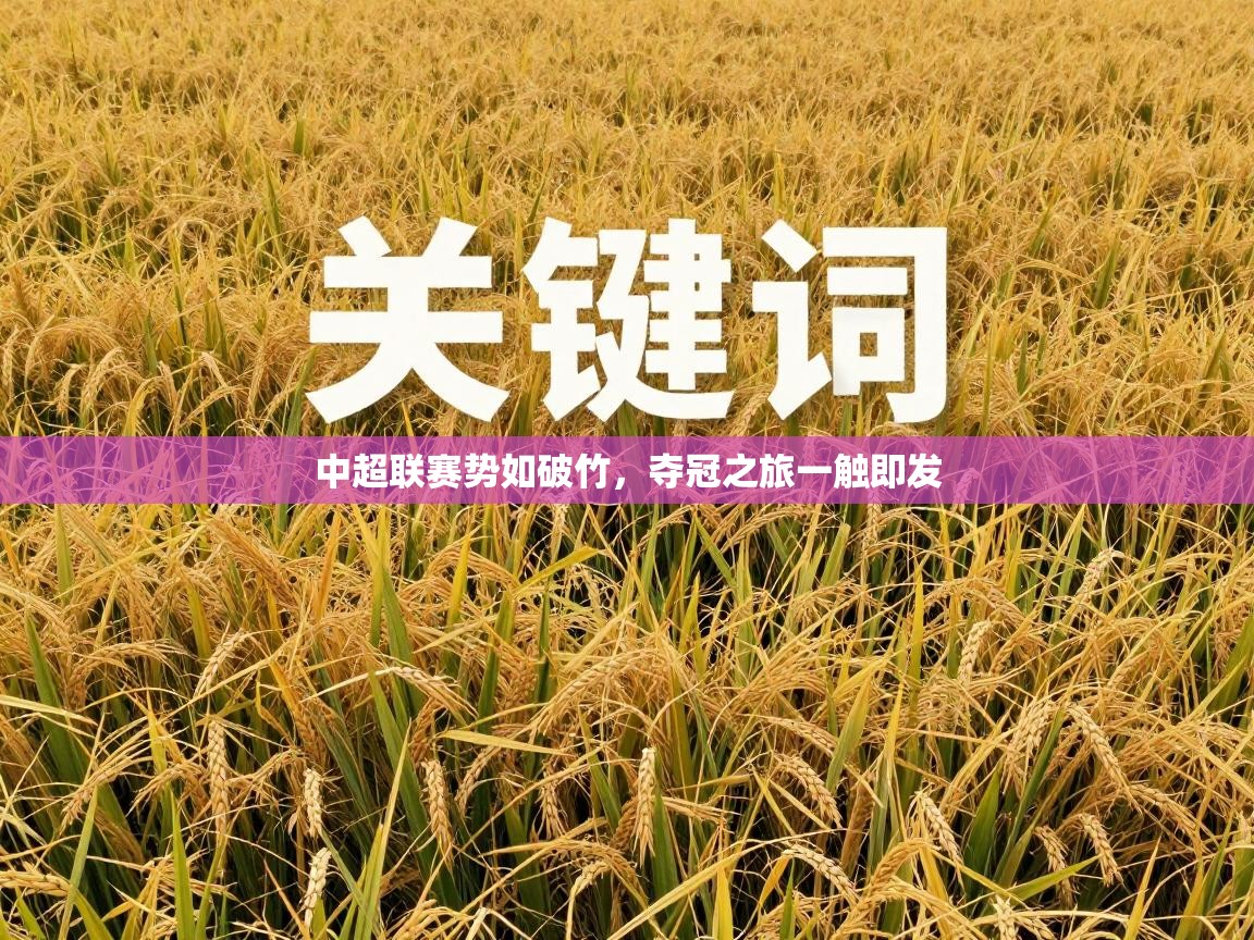 中超联赛势如破竹，夺冠之旅一触即发  第2张