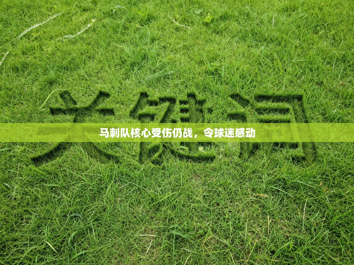 马刺队核心受伤仍战，令球迷感动  第2张