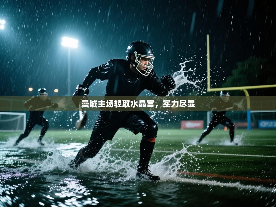 曼城主场轻取水晶宫,实力尽显 第2张