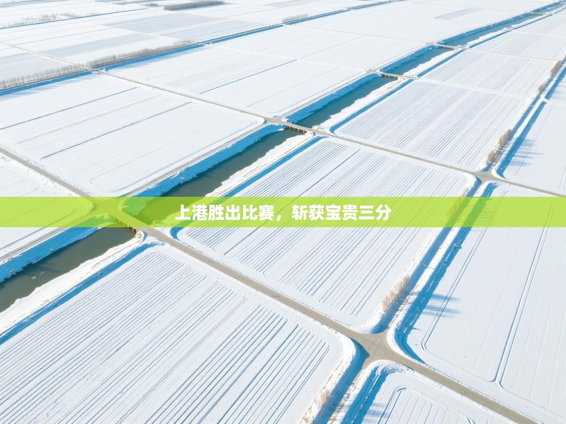 上港胜出比赛，斩获宝贵三分