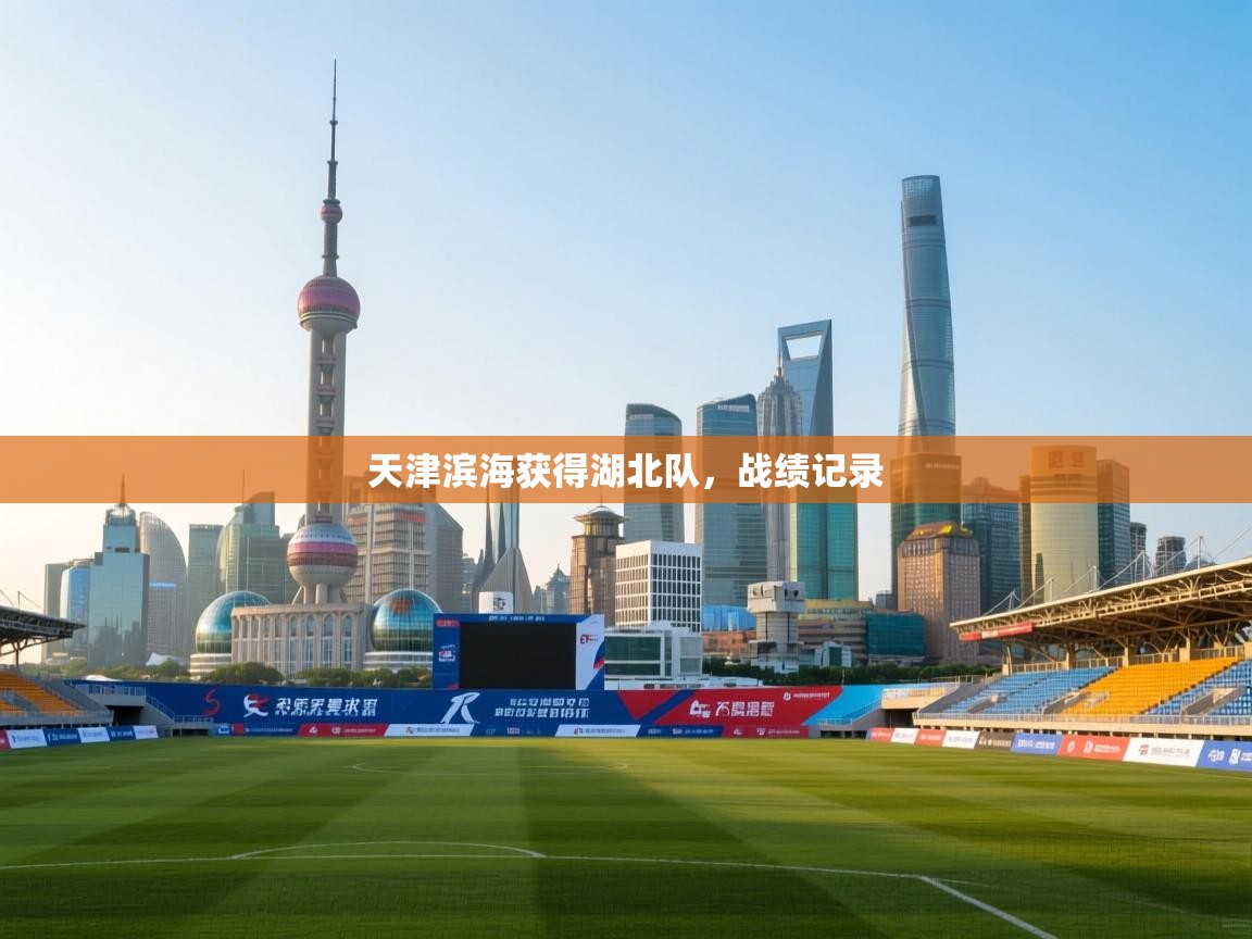 天津滨海获得湖北队，战绩记录  第2张