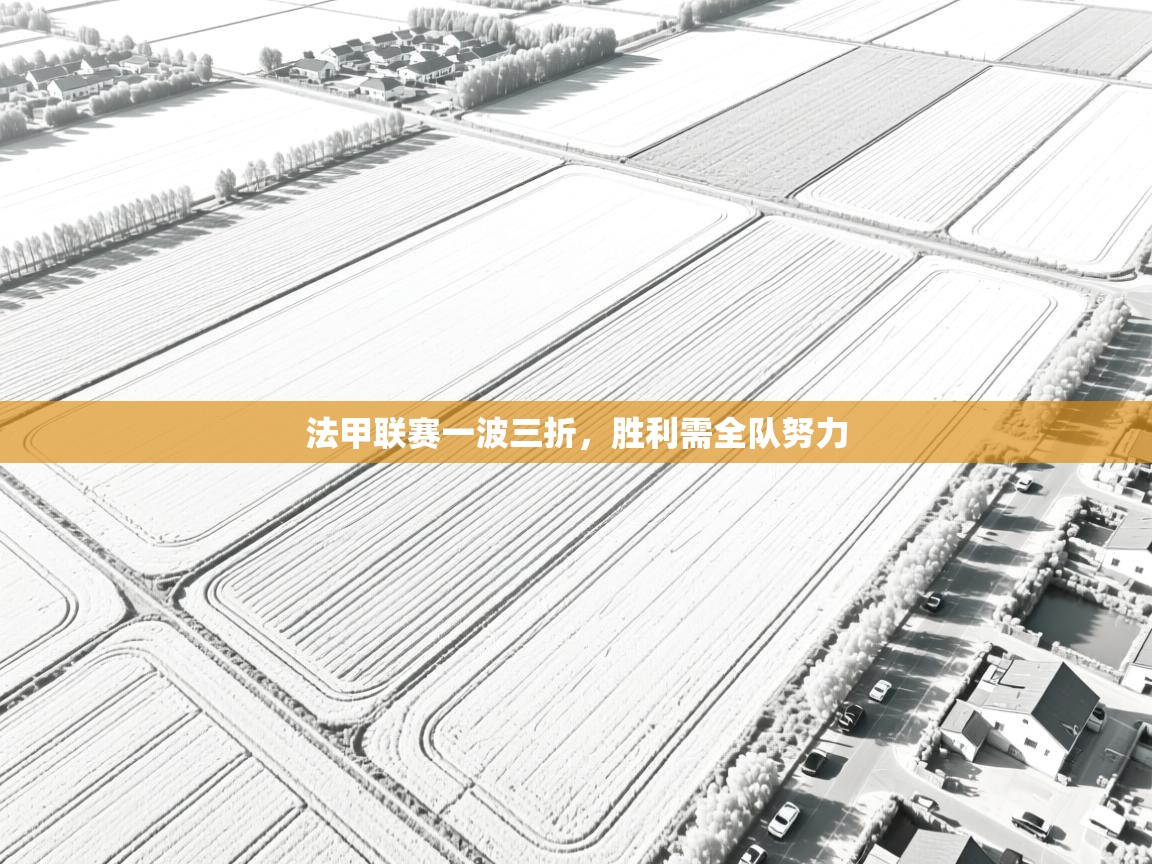 法甲联赛一波三折，胜利需全队努力  第2张