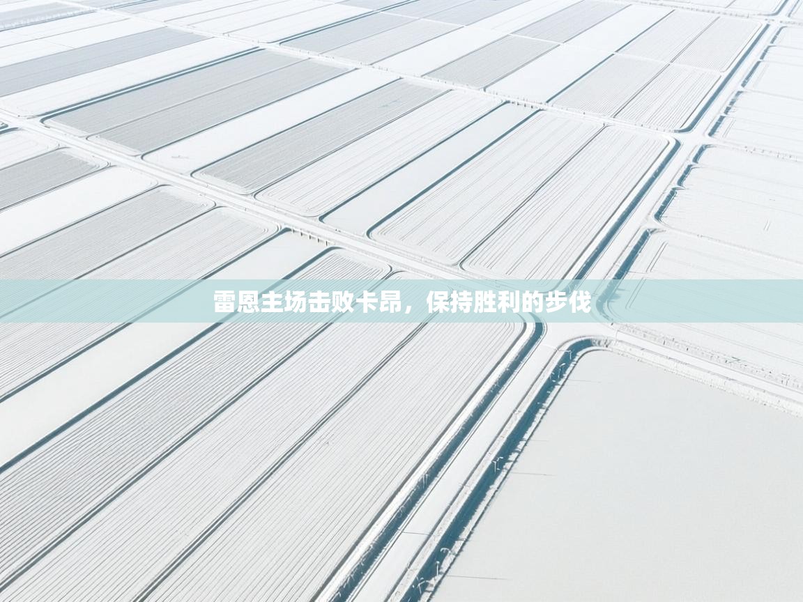 雷恩主场击败卡昂，保持胜利的步伐  第2张