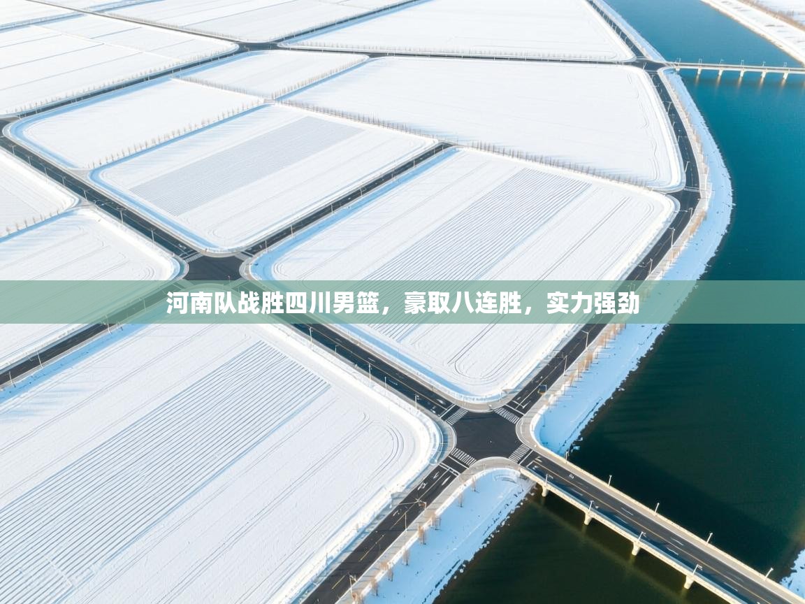 河南队战胜四川男篮，豪取八连胜，实力强劲  第1张