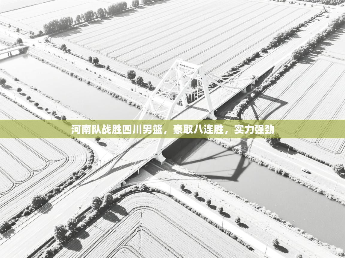 河南队战胜四川男篮，豪取八连胜，实力强劲  第2张