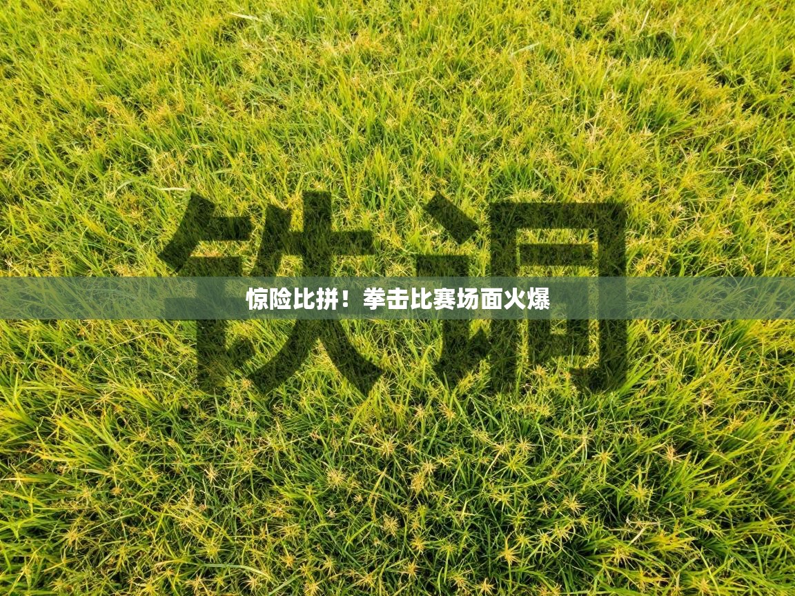惊险比拼！拳击比赛场面火爆  第2张